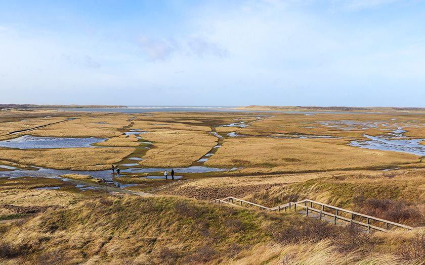 Door de zoute kreken van De Slufter