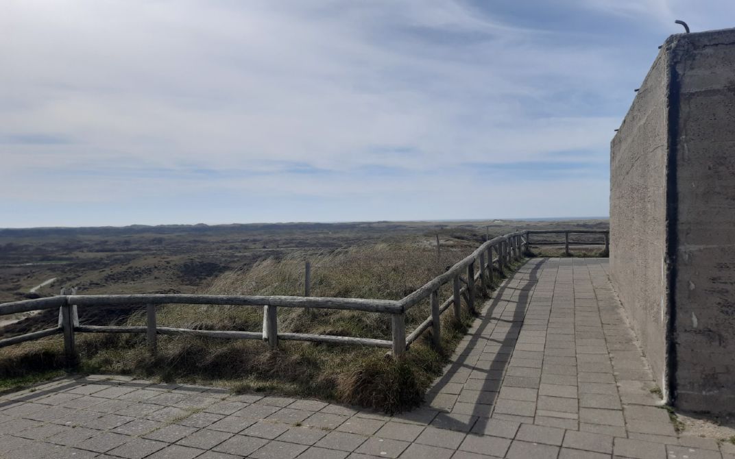 Geheimen van het Loodsmansduin: natuur ontmoet historie